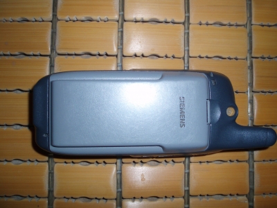 P1010008.JPG
