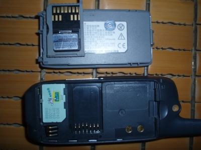 P1010009.JPG