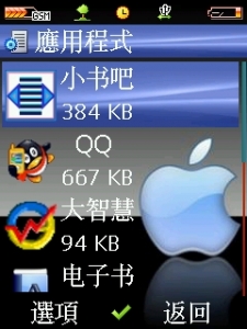 DispCapture1.JPG