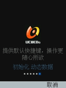 DispCapture2.JPG
