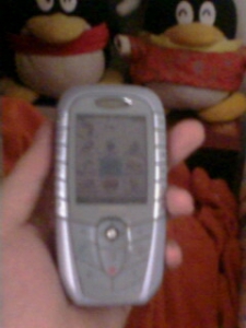 IMG0287A.jpg