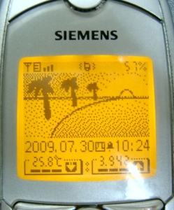 07.JPG