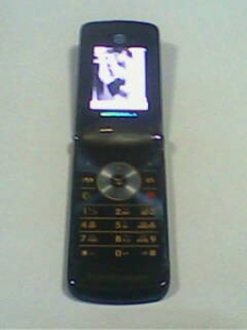 IMG0468A.jpg