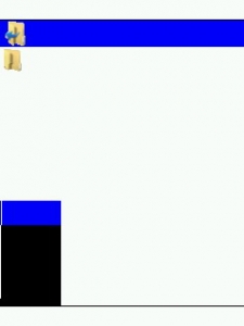 DispCapture.JPG