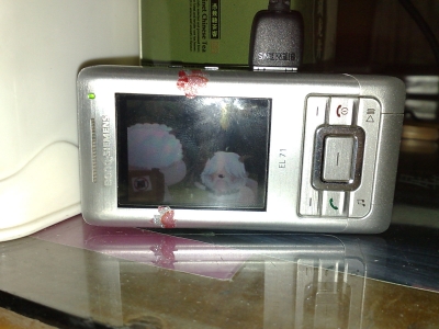20090818244.jpg