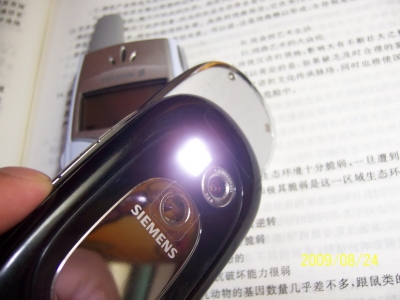 100_2809.jpg