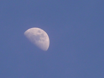 P6300027.jpg