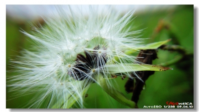 20090610_4ee795747c963d6ad919dXfaMLSsUHgq.jpg