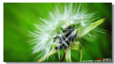 20090610_56dc4e1a5f4116c8c835MmsoeCyCZVSp.jpg