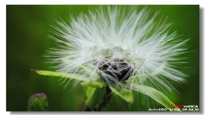 20090610_b9713d33e32704e59a019OGaXni7LA6Z.jpg