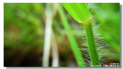20090610_f6dd7ebb0b0c6847b54asTUWA0SqFAW9.jpg
