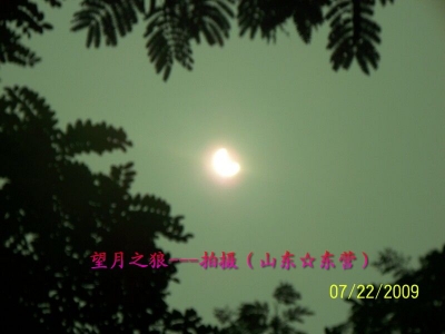 ȫʳ_029.jpg