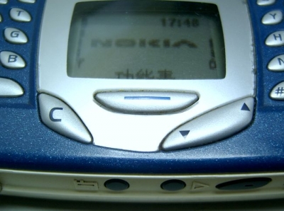 sv400894.jpg