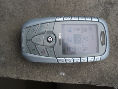 PA100029.JPG