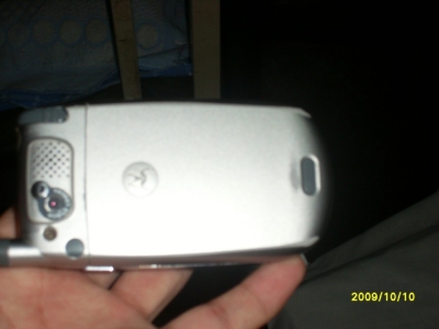 SL371522.JPG