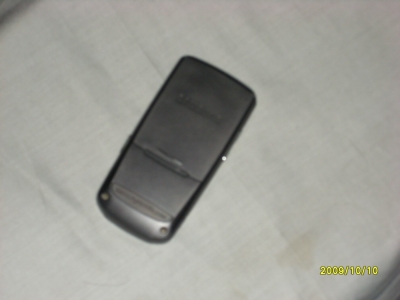 SL371524.JPG