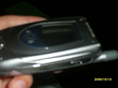 SL371525.JPG