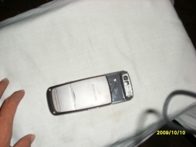SL371529.JPG