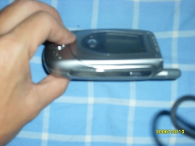 SL371534.JPG