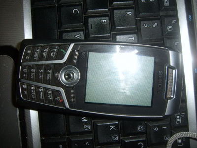 SUC56409.JPG