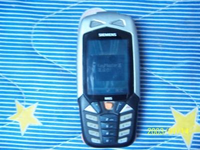100_4443_С.JPG