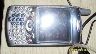 SL375238.JPG