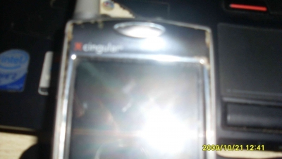 SL375239.JPG