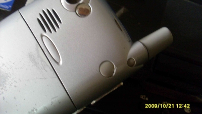 SL375245.JPG