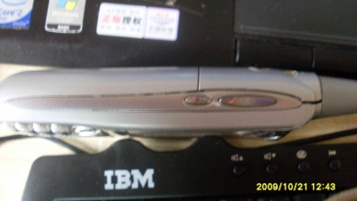 SL375246.JPG