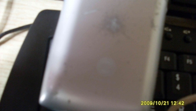 SL375243.JPG