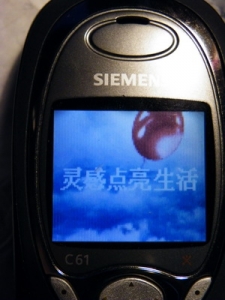 5_С.jpg