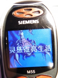 06_С.jpg