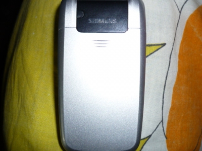 P1030519.JPG
