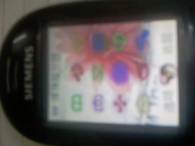 IMAG0069.jpg