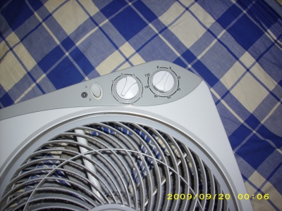 DSCI2108_С.JPG