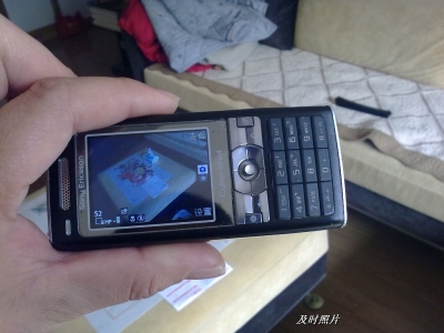BigBull_20100129726.jpg