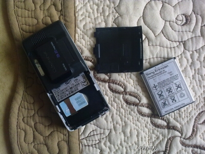 BigBull_20100129727.jpg