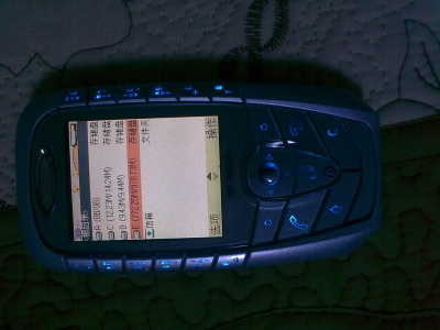 20100129729.jpg