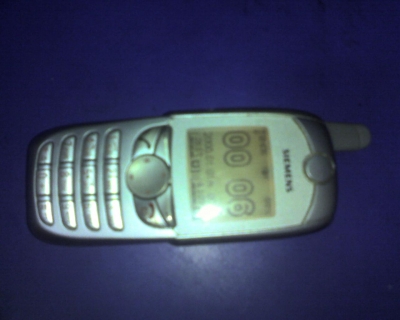 20091107img215.jpg