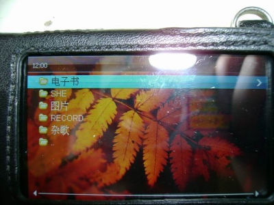 С DSC00062.JPG