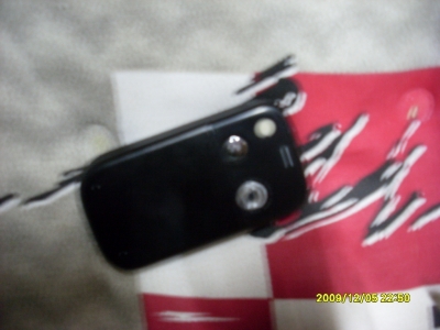 SL375937.JPG