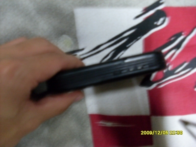 SL375938.JPG