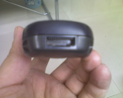 Ƭ_040610_008.jpg