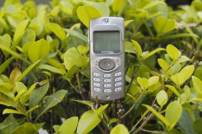 С _SDI3315.JPG