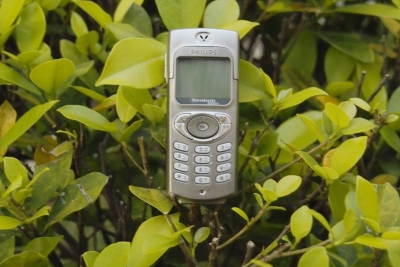 С _SDI3310.JPG