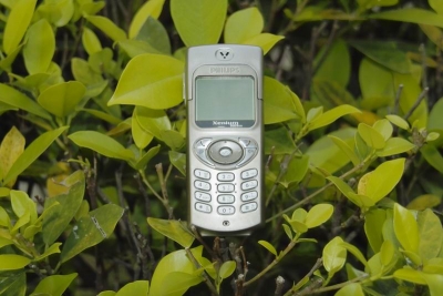 С _SDI3311.JPG