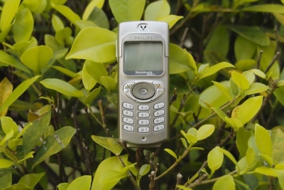 С _SDI3312.JPG