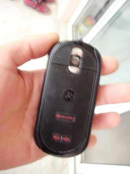 P4100015.JPG