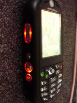 P4100025.JPG