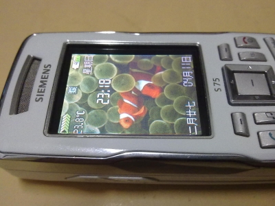 20100411091.jpg